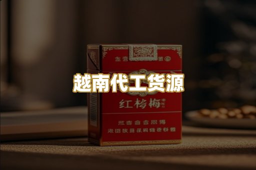 越南代工货源